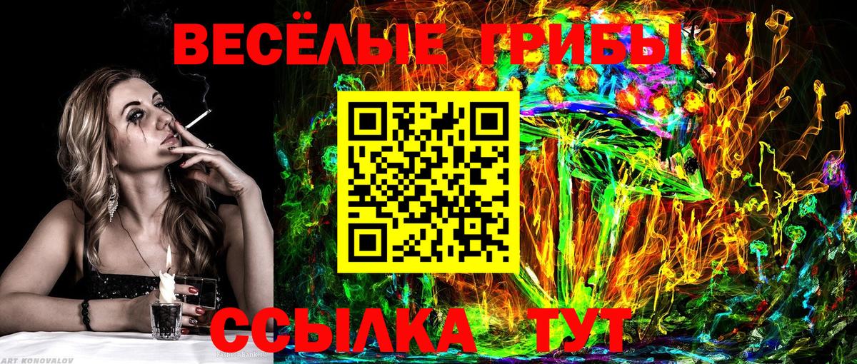 Галлюциногенные грибы MAGIC MUSHROOMS Бузулук