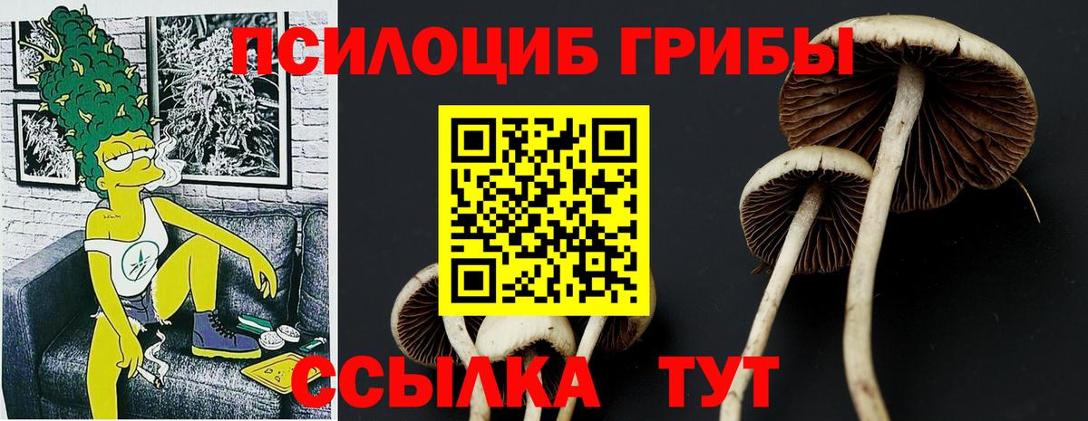 Галлюциногенные грибы Magic Shrooms  Псилоцибиновые грибы мухоморы  Бузулук  Вход с VPN 